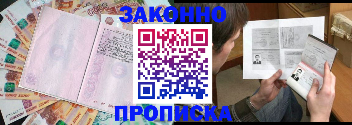 прописка для школы в Зеленогорске